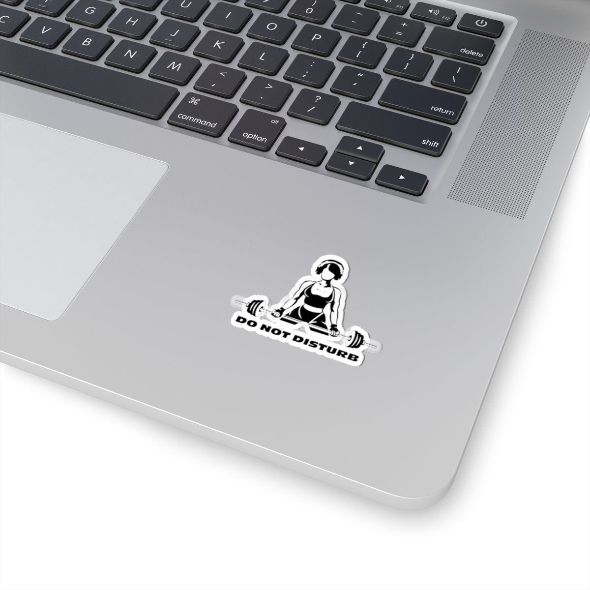 Do Not Disturb Kiss-Cut Stickers