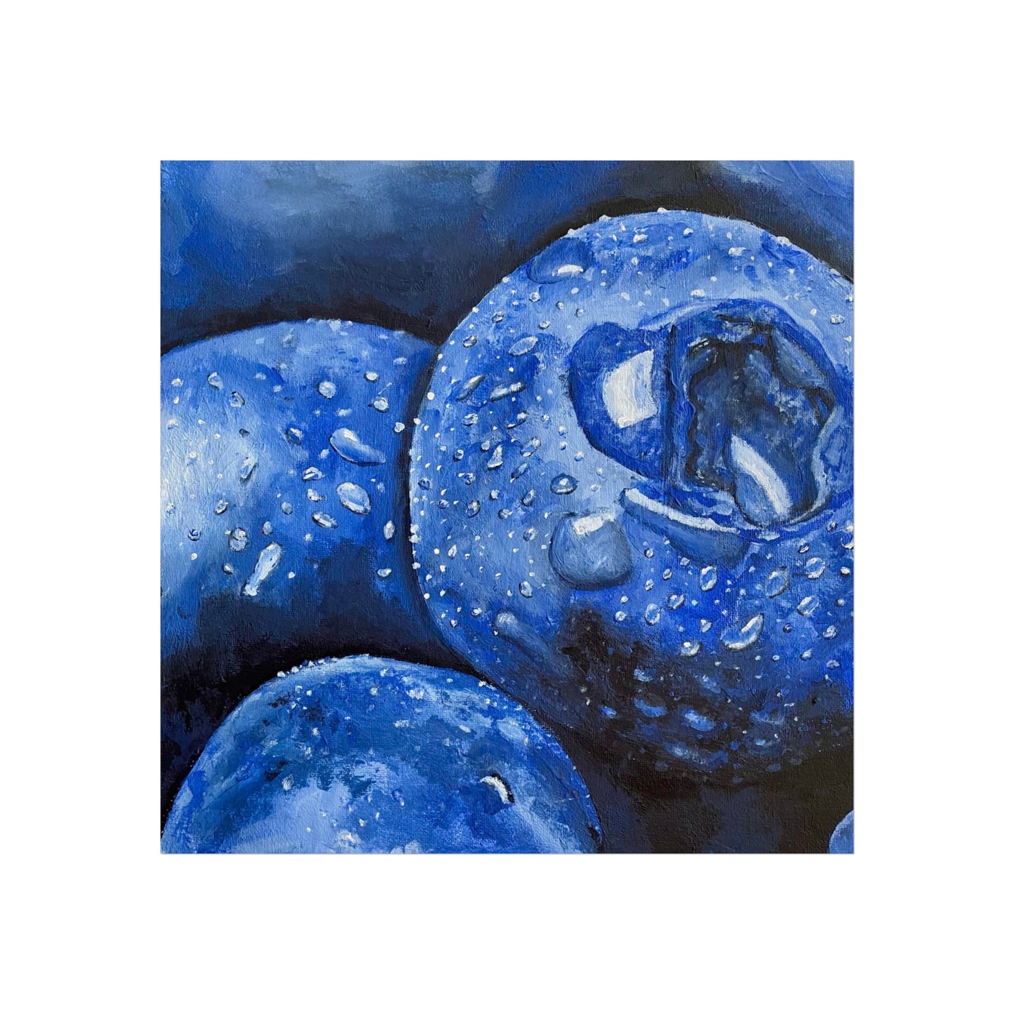Blueberry Delight Fine Art Posters